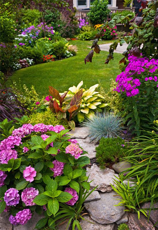 backyard with vibrant pink blooms
